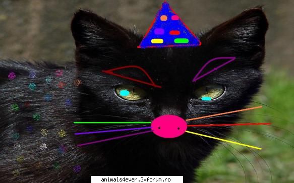 pisica clown  :rotfl: rpc-uri